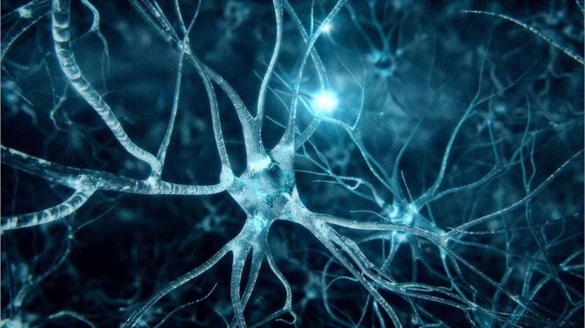 PRIMJENA NEUROFEEDBACKA